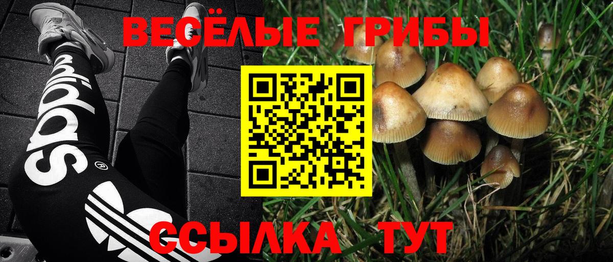 Галлюциногенные грибы прущие грибы Орехово-Зуево